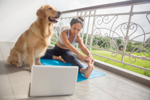 istock Asian yoga instructor touching her toes to practice her flexibility 1279598162