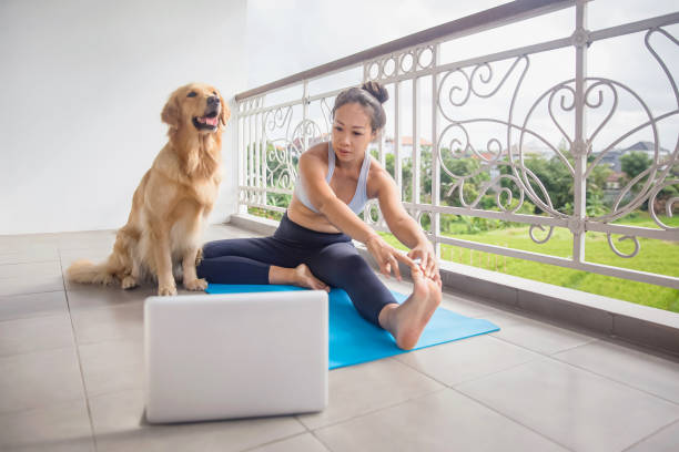 istock Asian woman touching her toes for stretching after exercise 1279598164