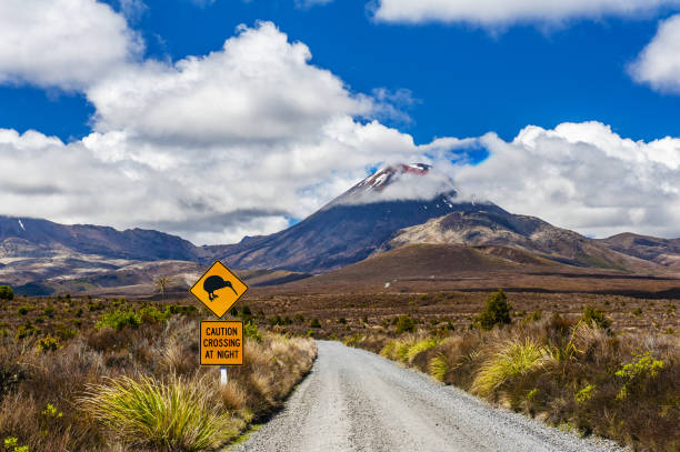 Kiwi sign and mount Ngauruhoe in New Zealand Kiwi sign near the road leading to famous volcano Mt. Ngauruhoe, national park Tongariro. New Zealand. tongariro national park photos stock pictures, royalty-free photos & images