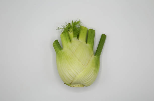 Top down view on isolated green white raw fresh fennel bulb on white blank background - Germany