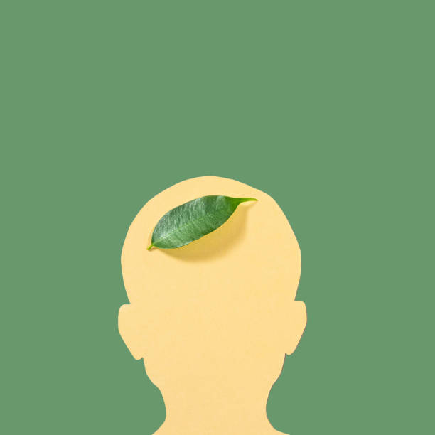 istock Silhouette of a human head 1279607737