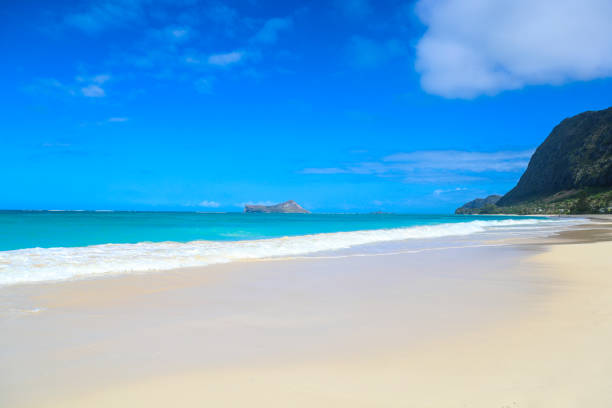 istock Beautiful Waimanalo Beach park 1279608340
