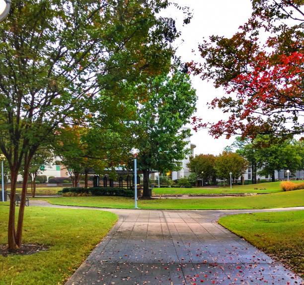 istock Autumn in the Park 1279610487