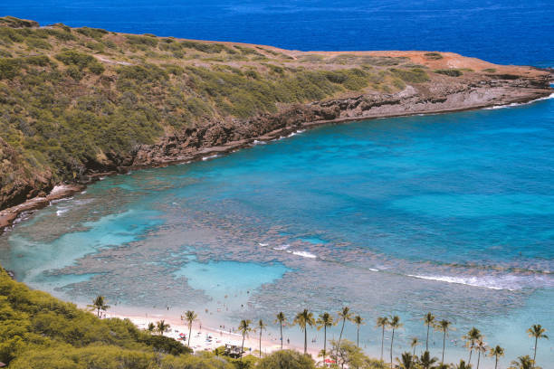istock Aerial Hanauma bay 1279611729