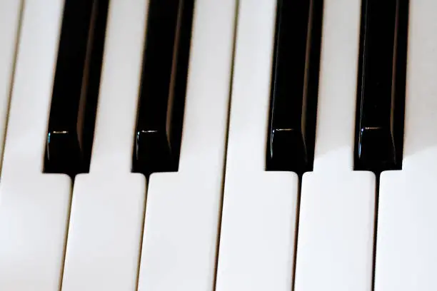 piano keys in close up with black and white
