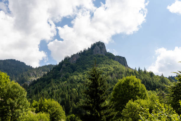 istock Mountain range. Smolyan, Bulgaria. Rhodope Mountains. Beautiful nature. Green forest. 1279614665