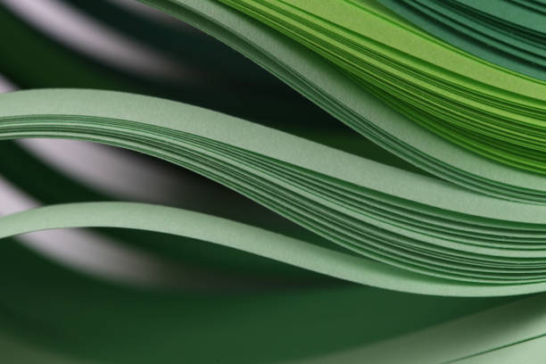 istock Abstract gradient green color wave curl strip paper background. 1279621260