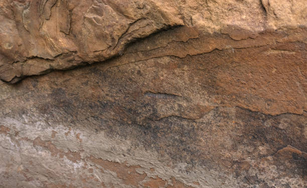 istock texture of wet stone or rock 1279624275