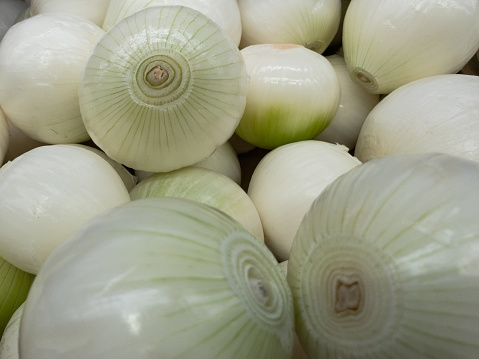 Bulb of white onion