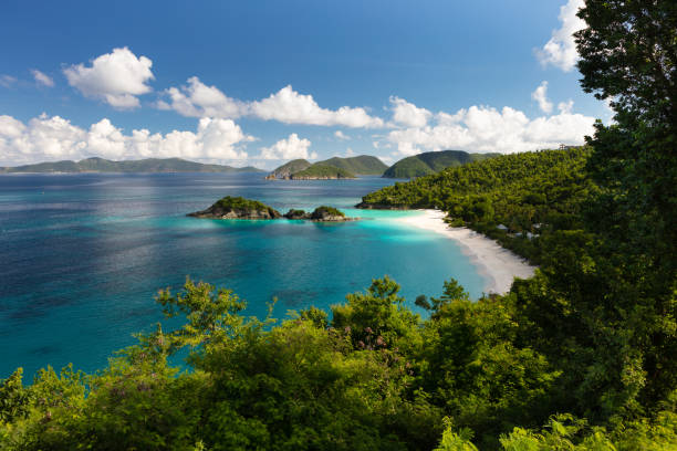 istock The overlook at Trunk Bay Beach, St. John 1279627342
