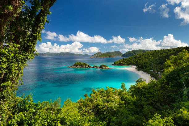 istock The overlook at Trunk Bay Beach, St. John 1279627353