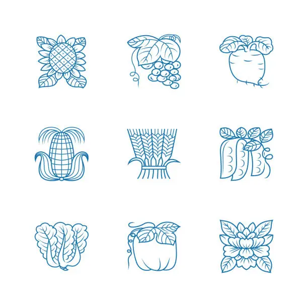 Vector illustration of Vegetables and fruits icons set