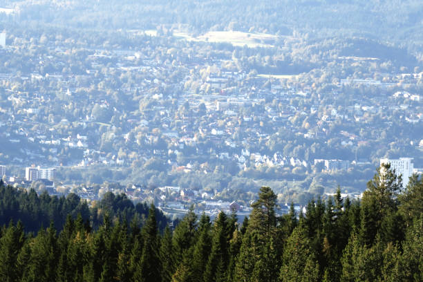 istock Trondheim birds eye view 1279627740