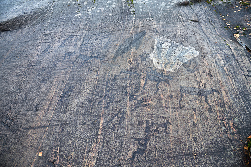 White Sea petroglyphs (ancient rock paintings) in Zalavruga, 4,5 thousand years BC. Belomorsk, Karelia, Russia