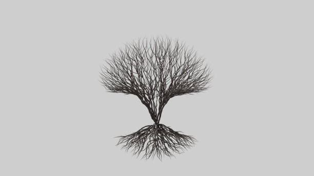 istock Tree in a spherical shape. Seasonal transition on white background. Eco Concept. 1279633911
