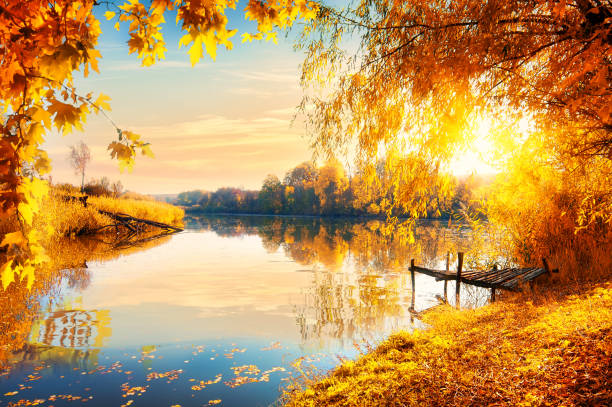 istock Autumn and calm pond 1279634972
