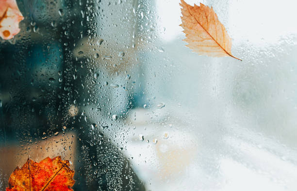 istock wet rainy glass with red and orange leaves, selective focus 1279635287