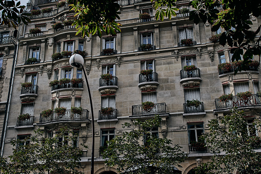 When you visit Paris, just watch its majestic architecture and buildings