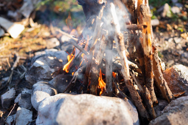 istock Close-up of a campfire 1279638486