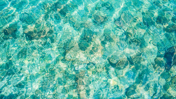 istock sea water transparent turquoise surface top view from above 1279638521