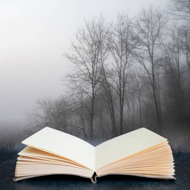 istock Moody dramatic foggy forest landscape Spring Autumn Fall 1279641387