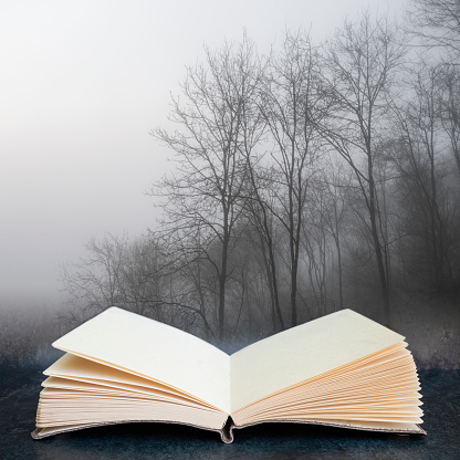 Dramatic moody foggy forest landscape Spring Autumn Fall in pages of open fantasy book