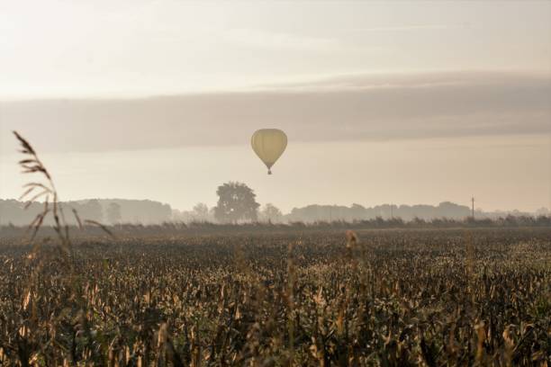 istock cultivated fields and trip of a yellow balloon 1279642242