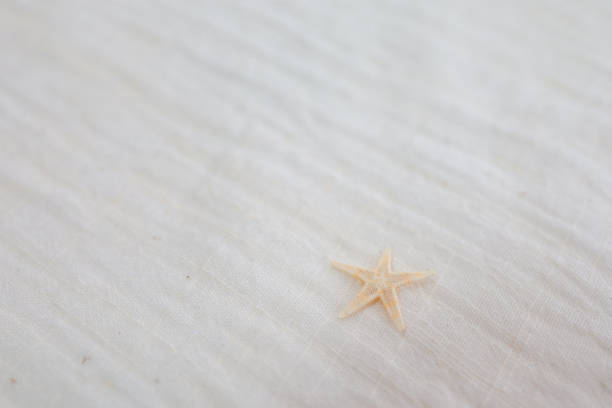wooden background with starfish