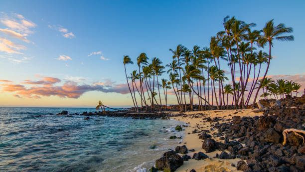 tramonto incredibile e palme sulla spiaggia. bellissima natura delle hawaii. usa - isole hawaii foto e immagini stock