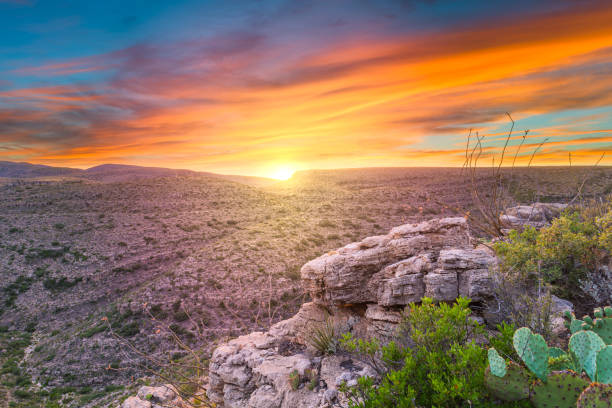 カールスバッド・キャバーン国立公園、ニューメキシコ州、ガラガラヘビキャニオンを見下ろすアメリカ - new mexico 写真 ストックフォトと画像