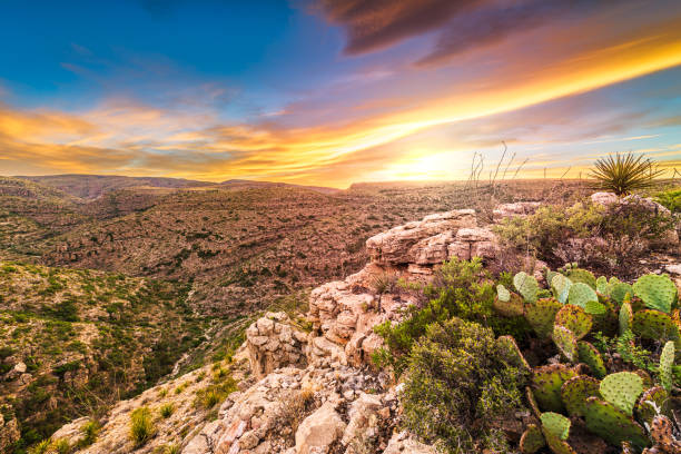 carlsbad cavern national park, nouveau-mexique, etats-unis surplombant rattlesnake canyon - rattlesnake photos et images de collection