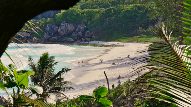 View through vegetation with tourists sunbathing on beautiful tropical beach Grand Anse in the south of La Digue island, Seychelles. stock photo