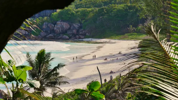 View through vegetation with tourists sunbathing on beautiful tropical beach Grand Anse in the south of La Digue island, Seychelles. Focus on beach.