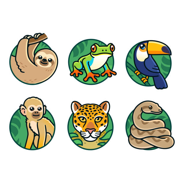 ilustrações, clipart, desenhos animados e ícones de animais da floresta tropical de desenho animado definido - snake tropical rainforest animal rainforest