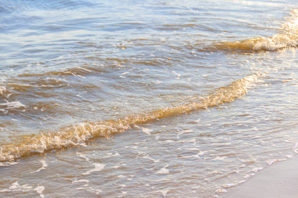 istock Soft wave of sea on sandy beach 1279650217