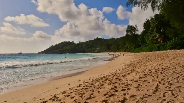 Photo of Tourists enjoying their holidays (swimming, sunbathing, relaxing) on popular beach Anse Intendance with tropical forest on the west coast of Mahe.