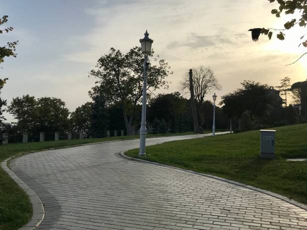 istock living space in the park in autumn 1279652745