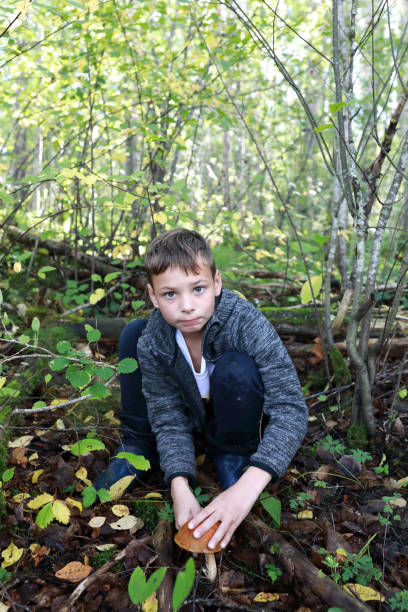istock Kid cutting mushroom in forest 1279656990
