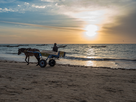 Nianing, Senegal - January 24, 2019: Senegalese boy rides on a cart with white horse on the beach, a popular transportation way in Africa