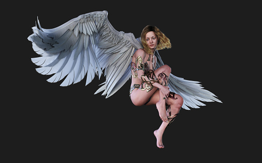The Heaven Angel Wings, White Wing Plumage Isolated on Black Background with Clipping Path.