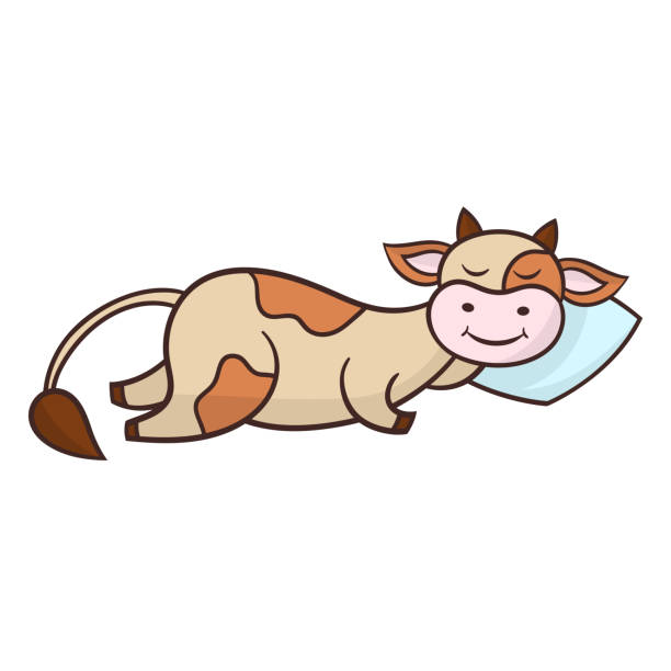 Vector funny sleeping cow Vector cute cartoon funny sleeping cow, symbol of 2021 sleeping cow stock illustrations