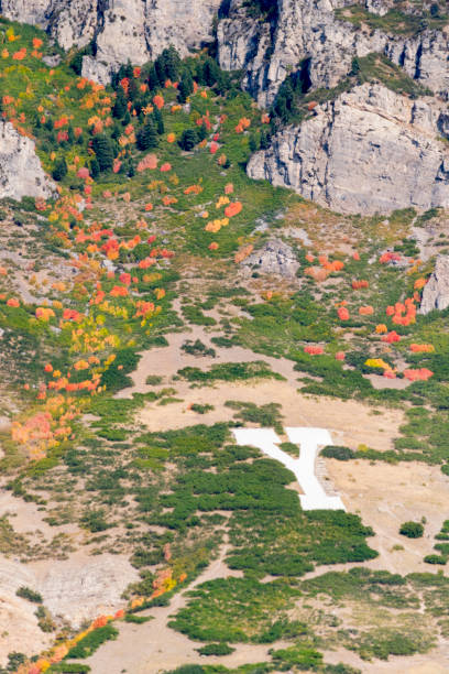 Beautiful Colors of Changing Trees on Y Mountain East of Provo Utah This shot shows the very bright colors of changing leaves on the trees covering Y Mountain east of Provo Utah.  This shot was taken in September of 2020 when the colors were particularly bright and stood out against the mountainside. brigham young university stock pictures, royalty-free photos & images