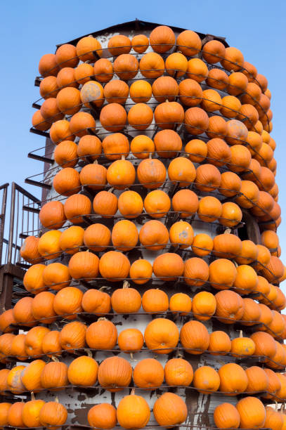 istock Tower of Pumpkins on Display at a Pumpkin Patch Stand 1279661425