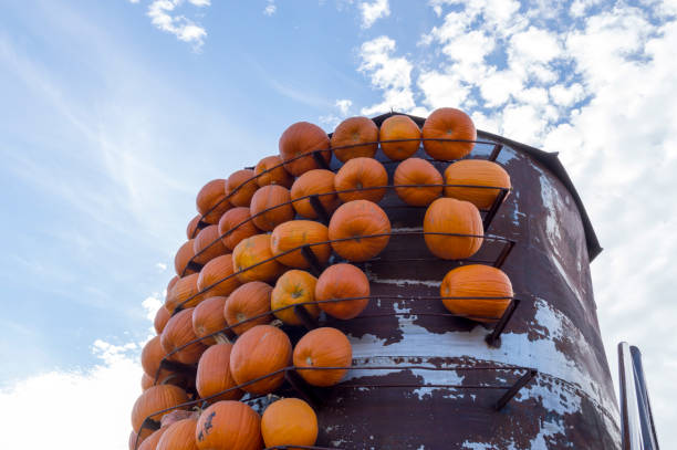 istock Tower of Pumpkins on Display at a Pumpkin Patch Stand 1279661434