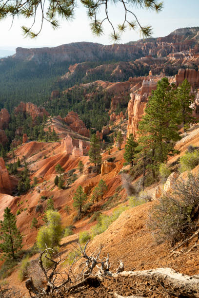 istock Bryce Canyon National Park 1279661485