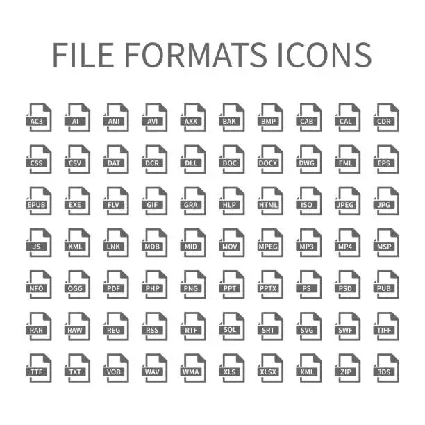 Vector illustration of File type vector icons