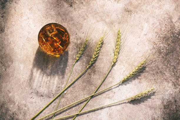 Whiskey in a glass with ice and ears of wheat or rye in the sunlight with long shadows on a beige rustic background. Top view, flat lay. Whiskey in a glass with ice and ears of wheat or rye in the sunlight with long shadows on a beige rustic background. Top view, flat lay rye stock pictures, royalty-free photos & images