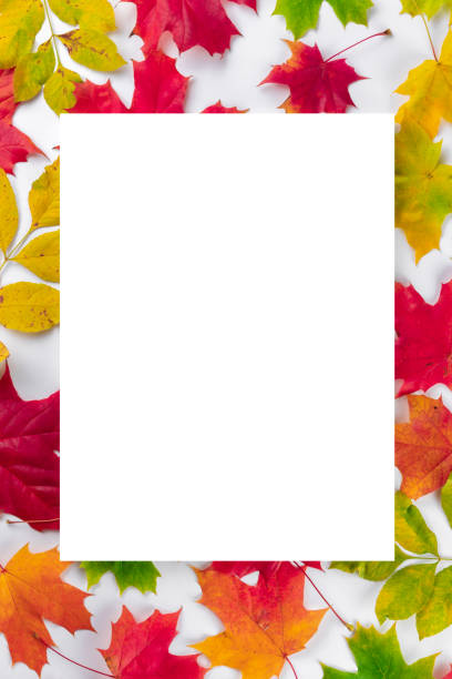 istock Autumn composition. Multi-colored maple leaves: red, green and yellow as a background and white paper for copy space. Autumn, fall, thanksgiving day concept. Flat lay, top view 1279665757