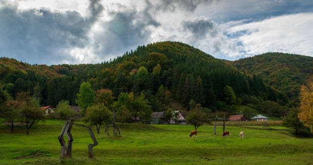 A beautiful Romanian picturesque landscape.