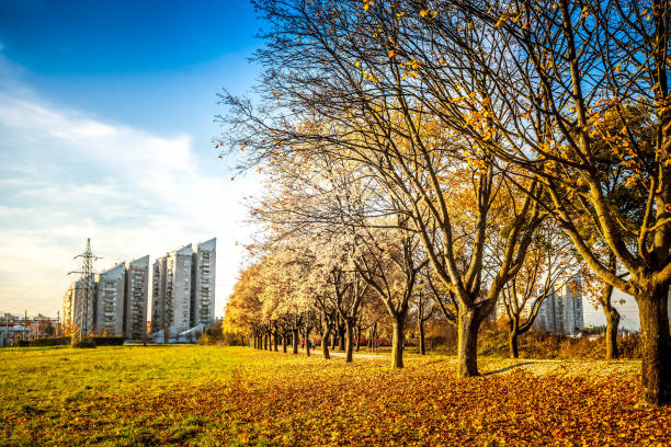 istock Ljubljana in autumn 1279671235